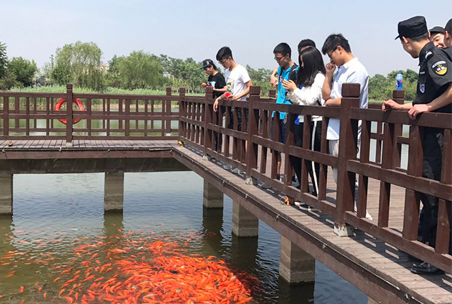 伟德国际1946集团有限公司