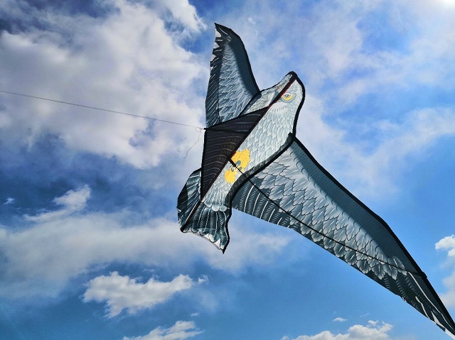 伟德国际1946集团有限公司