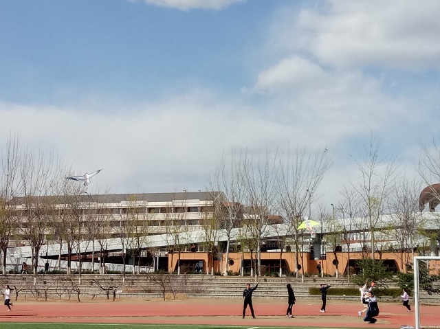 伟德国际1946集团有限公司