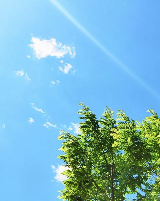 伟德国际1946集团有限公司