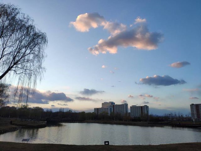 伟德国际1946集团有限公司