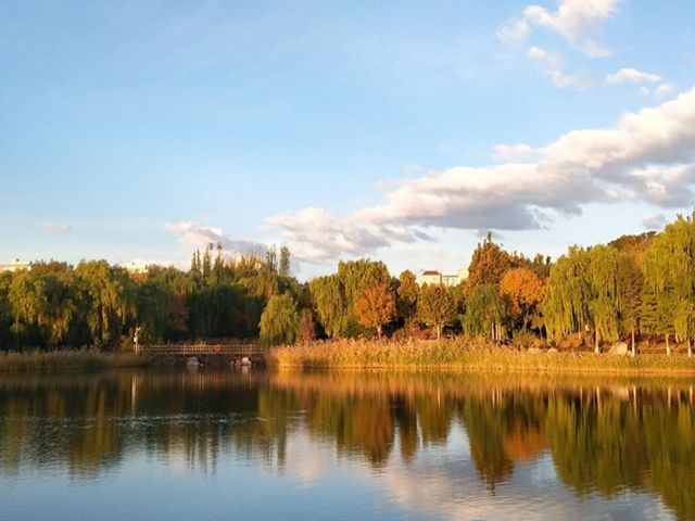 伟德国际1946集团有限公司