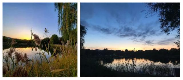 伟德国际1946集团有限公司