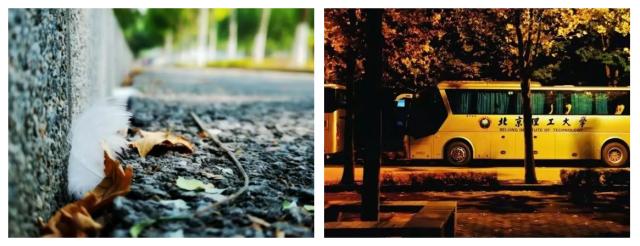 伟德国际1946集团有限公司