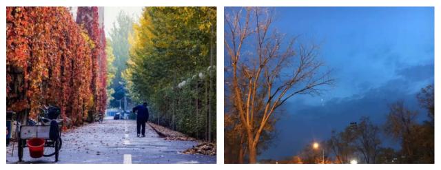 伟德国际1946集团有限公司