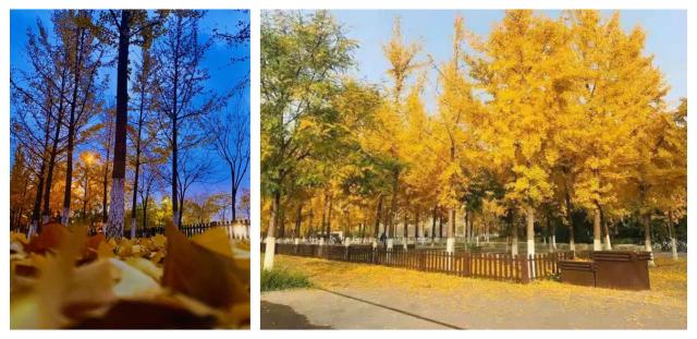 伟德国际1946集团有限公司