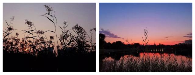 伟德国际1946集团有限公司